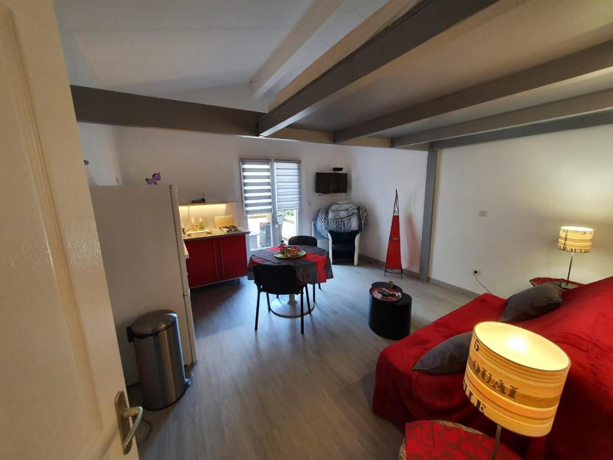 DORMIR A MONTAUBAN Logements Carreyrat Calme et Verdoyant Buitenkant foto
