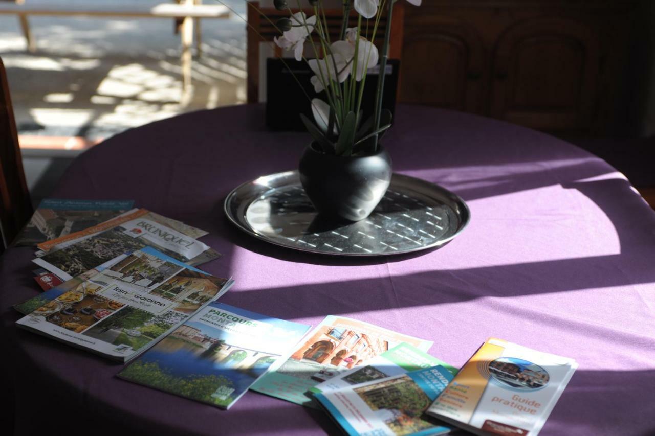 DORMIR A MONTAUBAN Logements Carreyrat Calme et Verdoyant Buitenkant foto